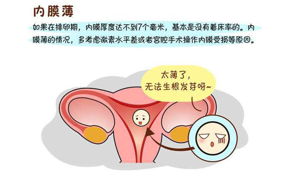 试管婴儿移植的时候遇到前子宫内膜不长如何解决？