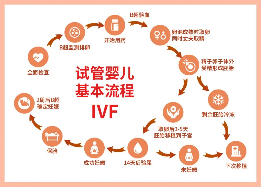 【第三代试管婴儿】赴泰试管成为生娃最优解？价格、流程攻略已经出炉！速看！