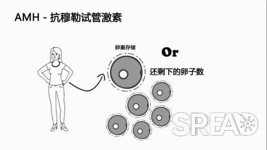 泰国试管助孕成功率，费用明细 流程全知晓！